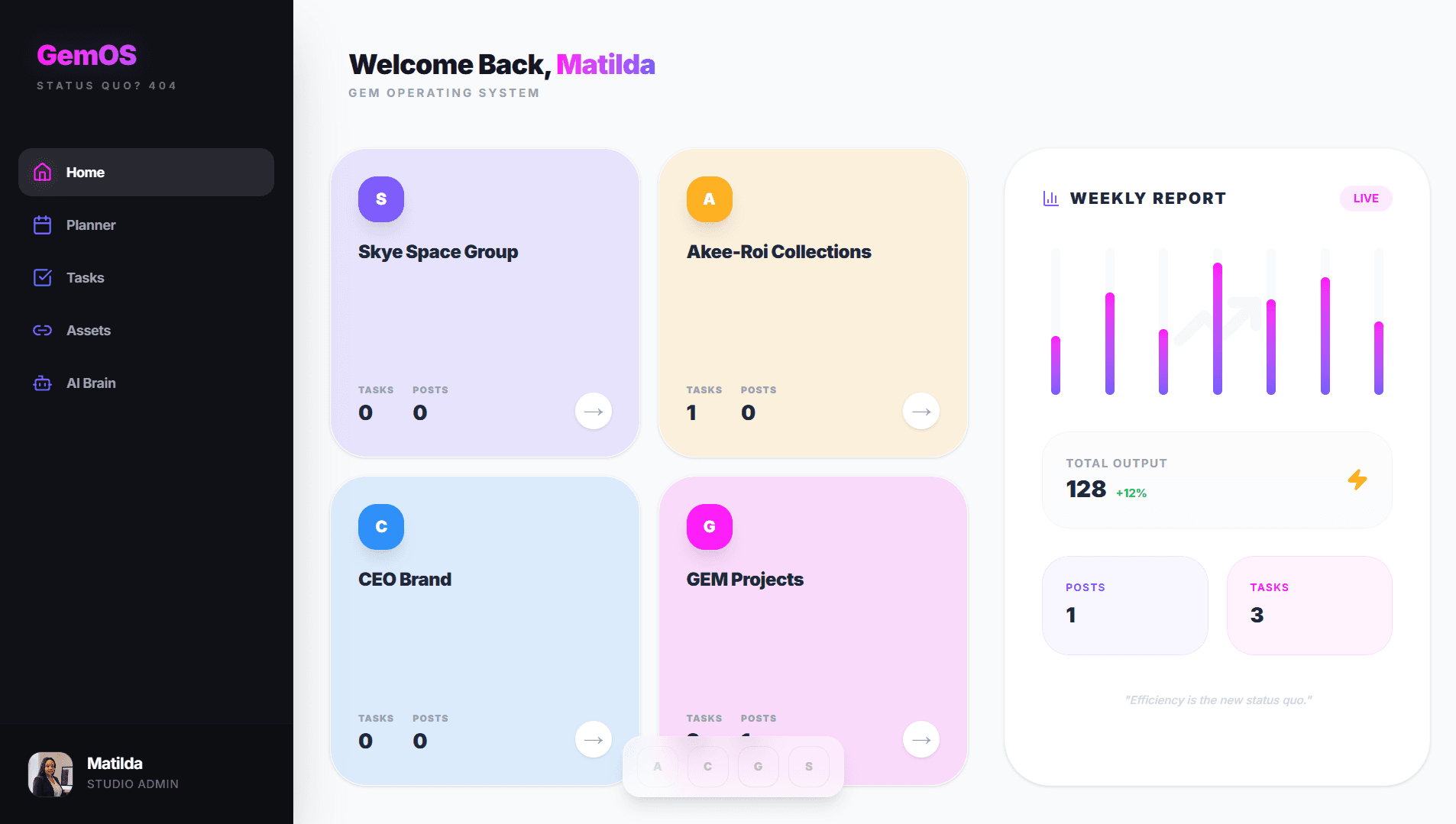 Custom Dashboards & Systems